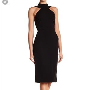 Bebe brews never worn